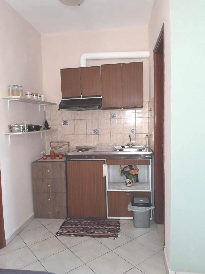 Lefkada Nikiana Two Bedroom Apartment Bagian luar foto