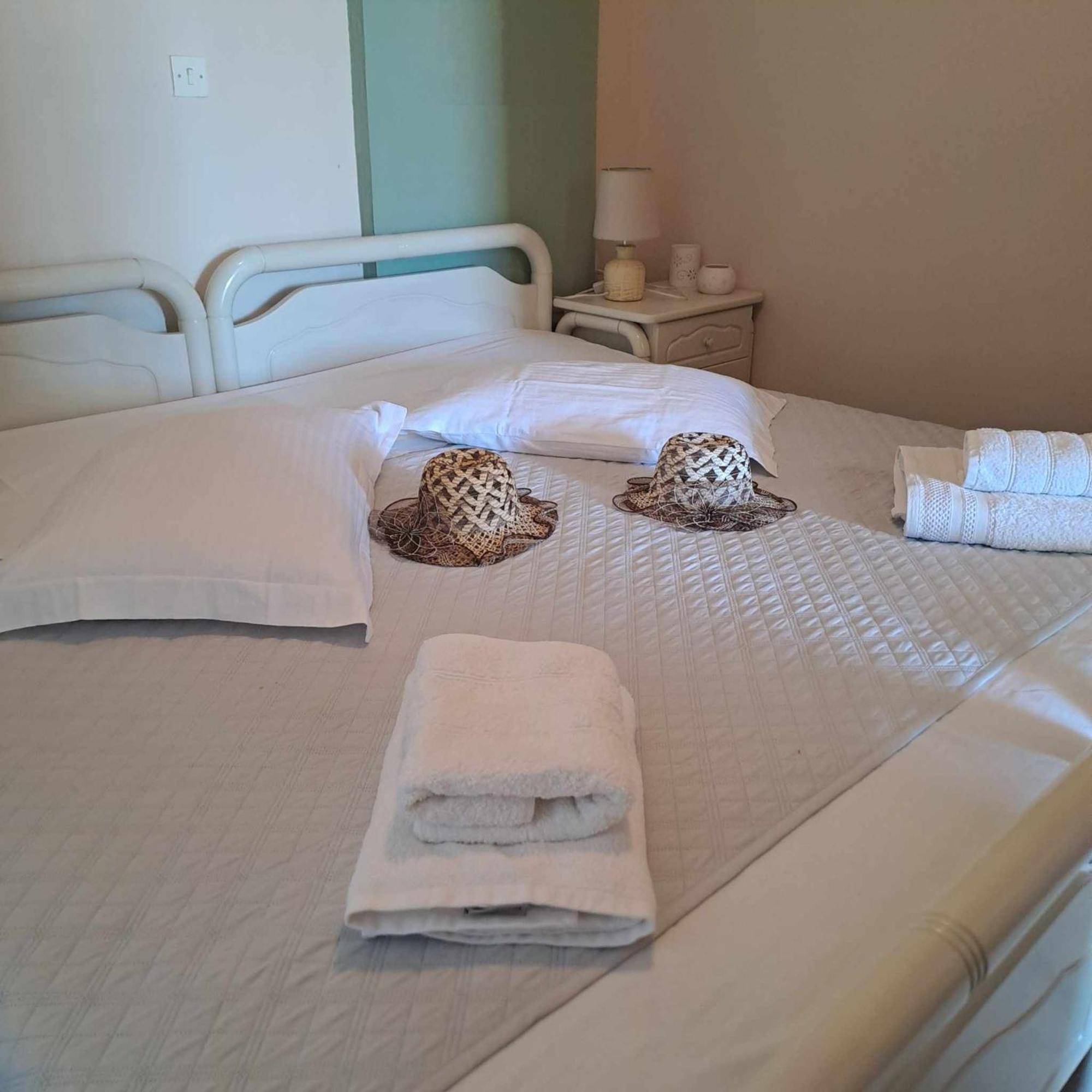 Lefkada Nikiana Two Bedroom Apartment Bagian luar foto